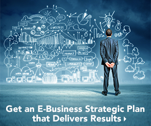 Develop an e-business strategic plan