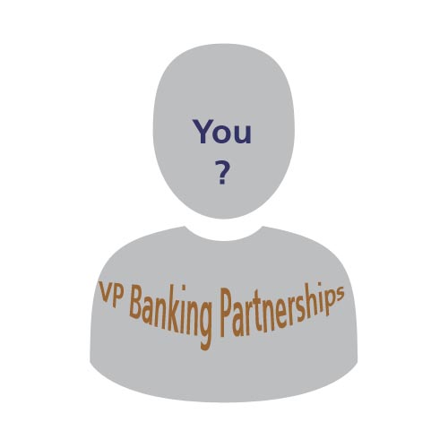 VP Banking Partnerships