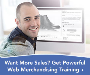 Web Product Merchandising Training