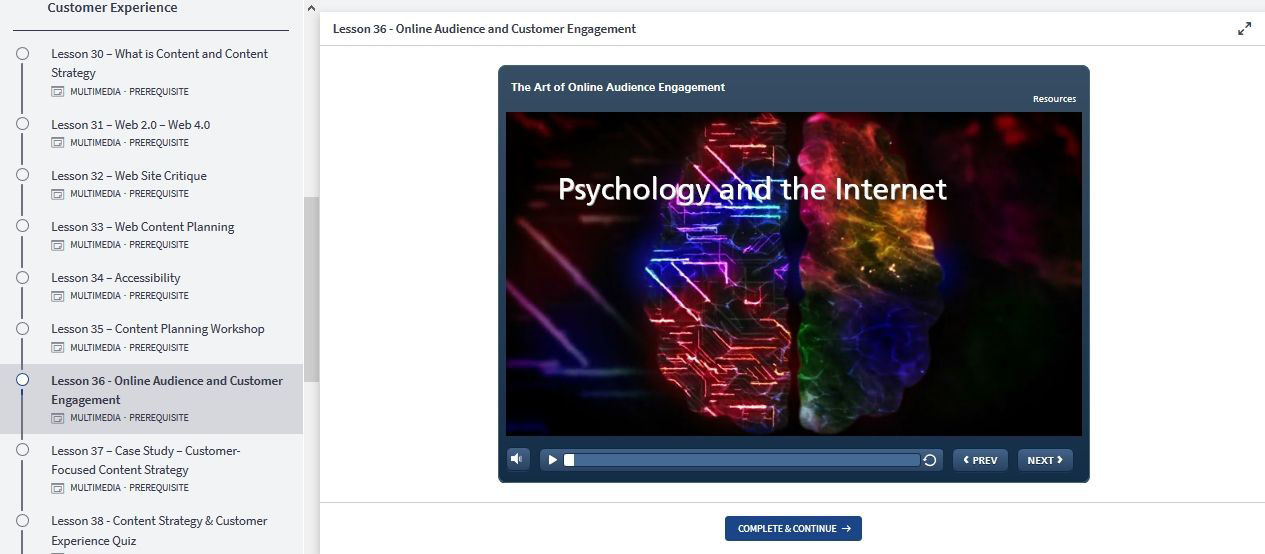 E-Learning Screenshot - Psychology and the Internet